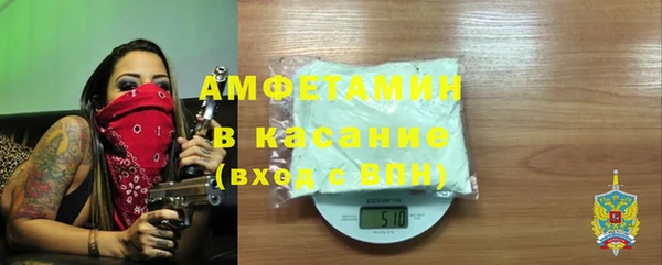 гашик Ельня
