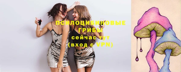 эйфоретик Елабуга