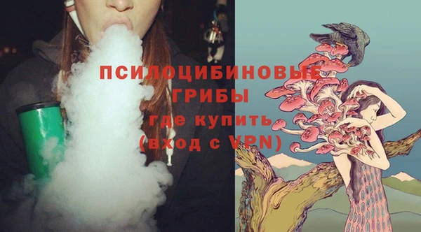 гидра Белоозёрский