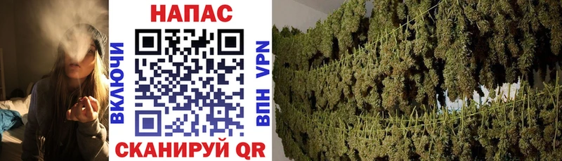 как найти закладки  Онега  Шишки марихуана марихуана 